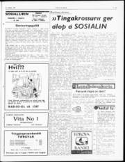 Síða 3