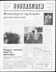 Síða 1