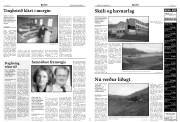 Síða 4