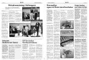 Síða 5