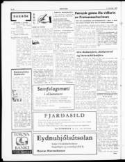 Síða 8