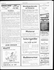 Síða 3