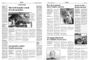 Síða 8