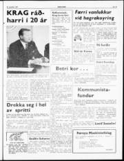 Síða 7