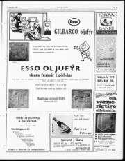 Síða 3