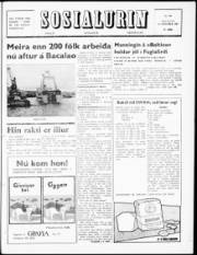 Síða 1