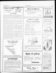 Síða 3