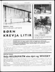 Síða 3