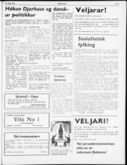 Síða 5