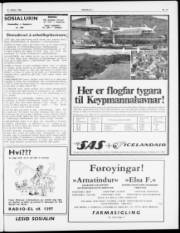 Síða 3