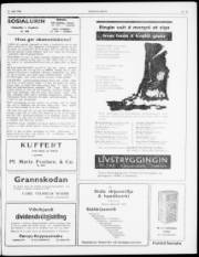 Síða 3