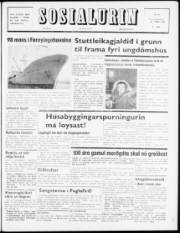 Síða 1