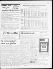 Síða 3