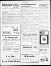 Síða 3