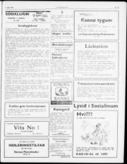 Síða 3