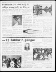 Síða 3
