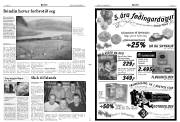 Síða 3