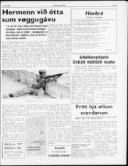 Síða 3