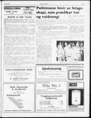 Síða 3