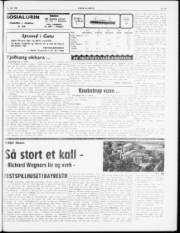Síða 3