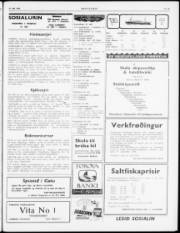 Síða 3