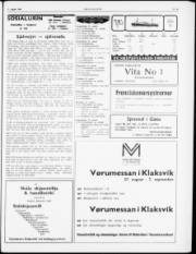 Síða 3