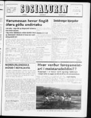 Síða 1