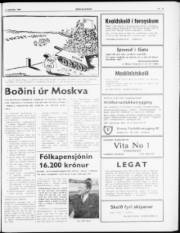 Síða 5