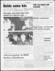 Síða 4