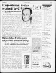 Síða 3