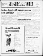 Síða 1