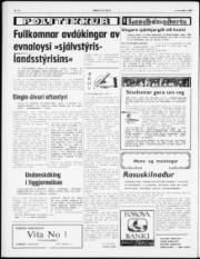 Síða 2