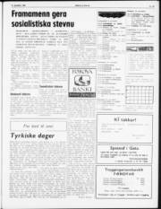 Síða 3