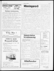 Síða 3