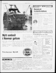 Síða 7
