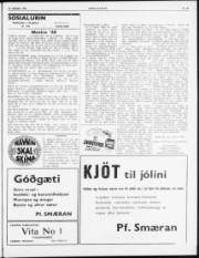 Síða 3