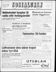 Síða 1