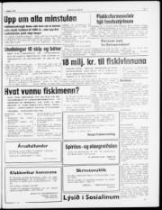 Síða 7