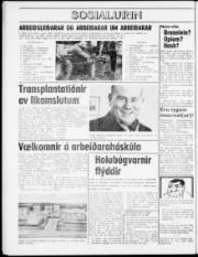 Síða 8