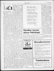 Síða 2