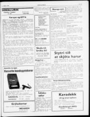 Síða 3