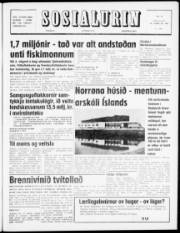 Síða 1