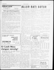 Síða 3