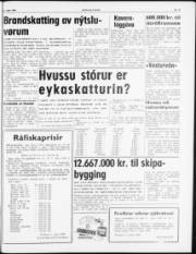Síða 5