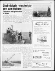 Síða 3