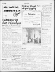 Síða 3