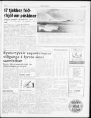 Síða 3