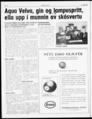 Síða 4