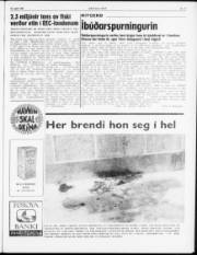 Síða 3