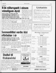 Síða 3